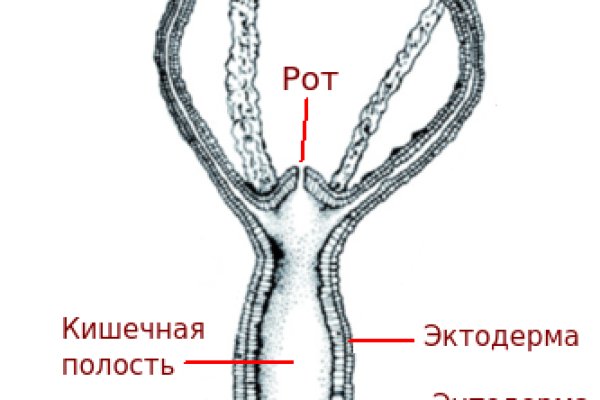 Кракен сайт закладок